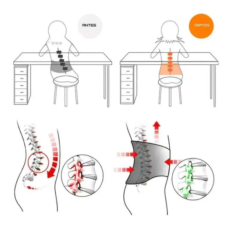 Cinta para Coluna - Energiza Belt™